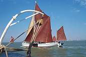 Maldon Barges, photo by Tony Cuthbert