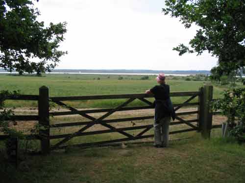 View across estuary